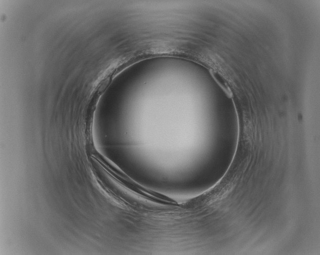 X0000073710530200608031242