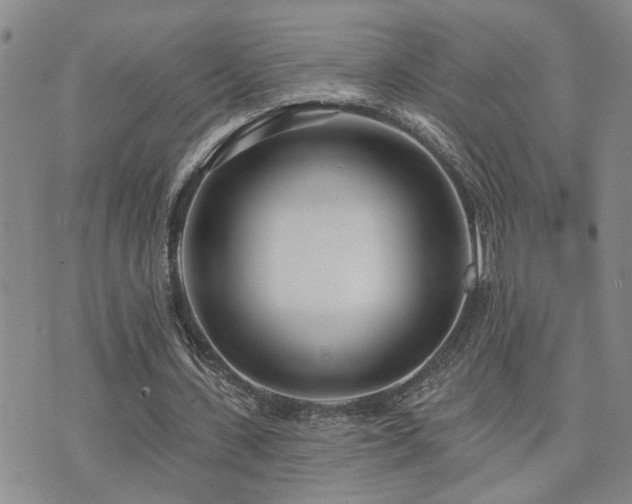 X0000073710531200608031242