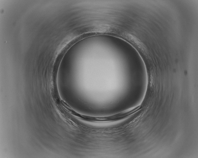 X0000073710532200608031242