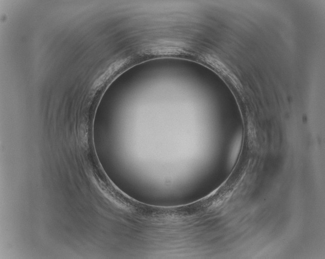 X0000073710533200608031242