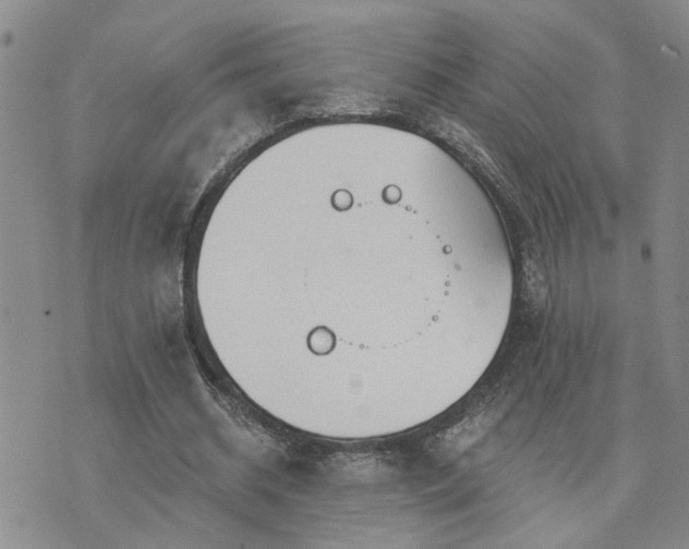 X0000073710534200608031242