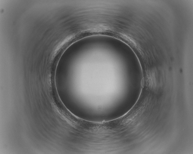 X0000073710535200608031242