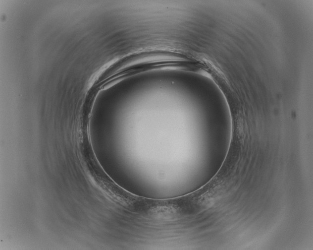 X0000073710536200608031242