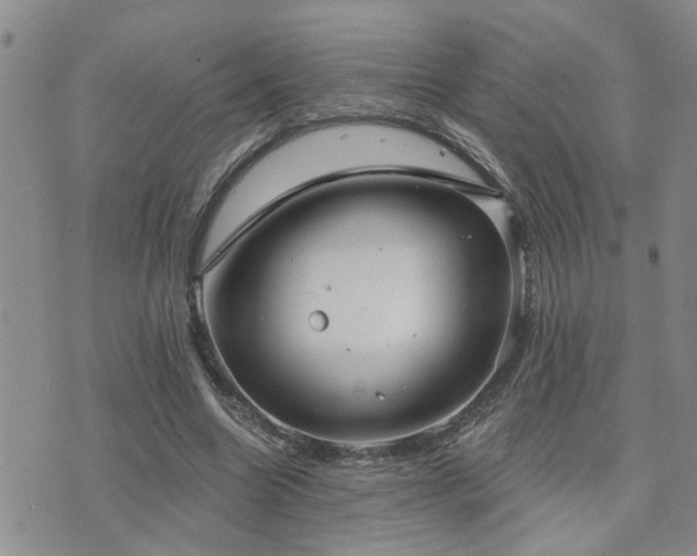 X0000073710538200608031242