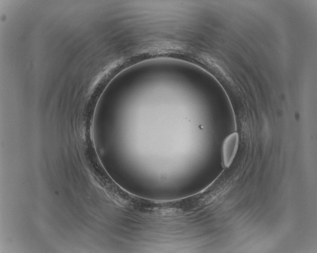 X0000073710539200608031242