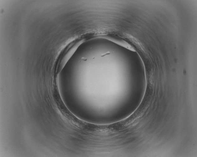 X0000073710540200608031242