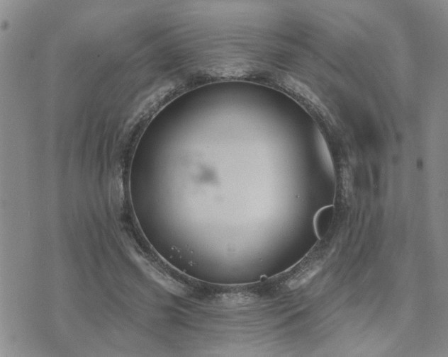 X0000073710541200608031242