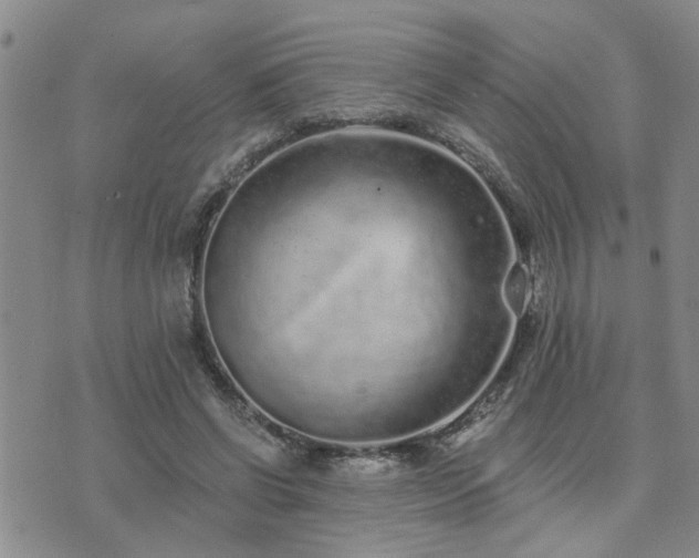 X0000073710542200608031242