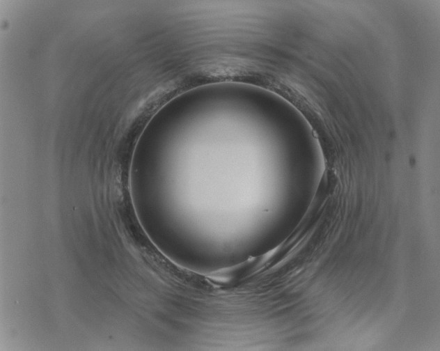 X0000073710547200608031242