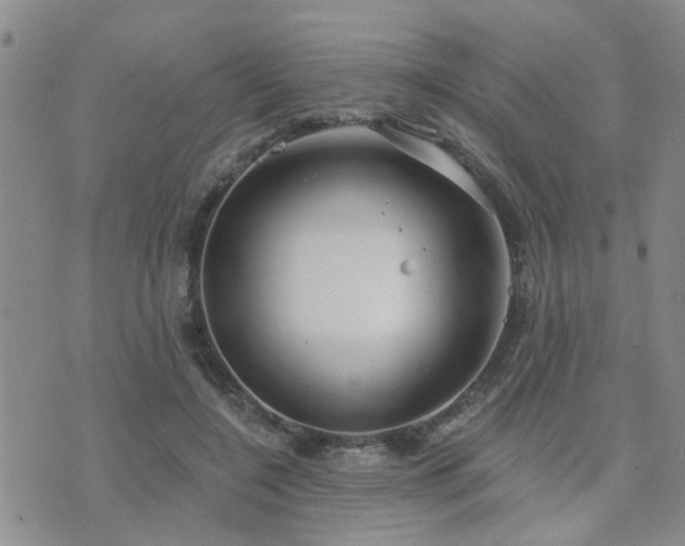 X0000073710548200608031242