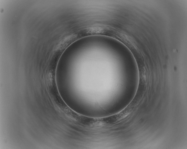 X0000073710551200608031242