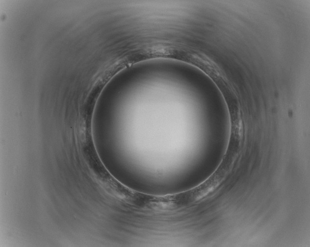 X0000073710552200608031242