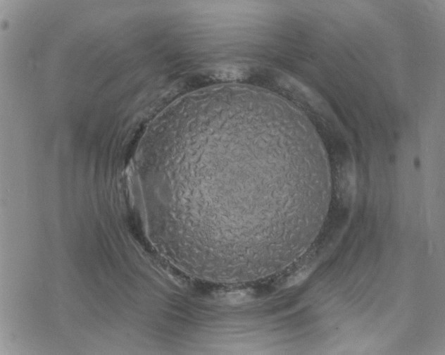 X0000073710553200608031242