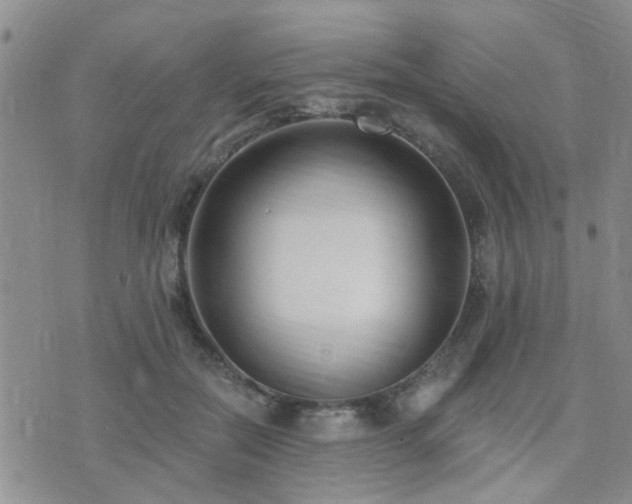 X0000073710554200608031242