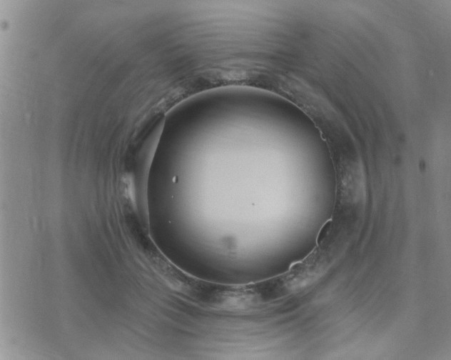 X0000073710555200608031242