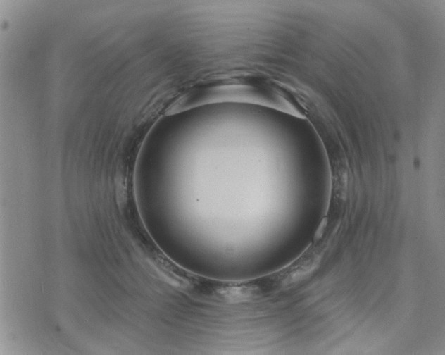 X0000073710558200608031242