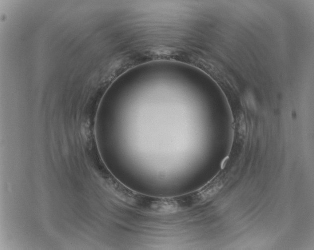 X0000073710559200608031242