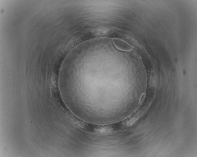 X0000073710561200608031242