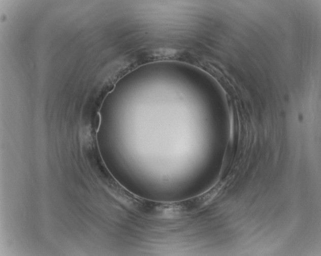 X0000073710564200608031242