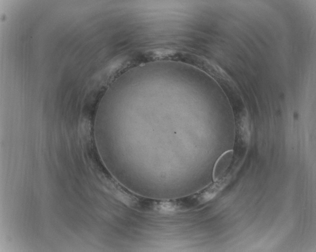 X0000073710565200608031242