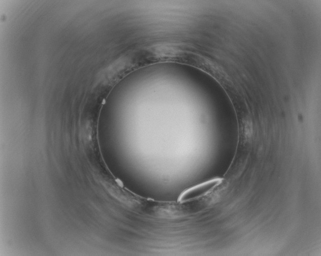 X0000073710567200608031242