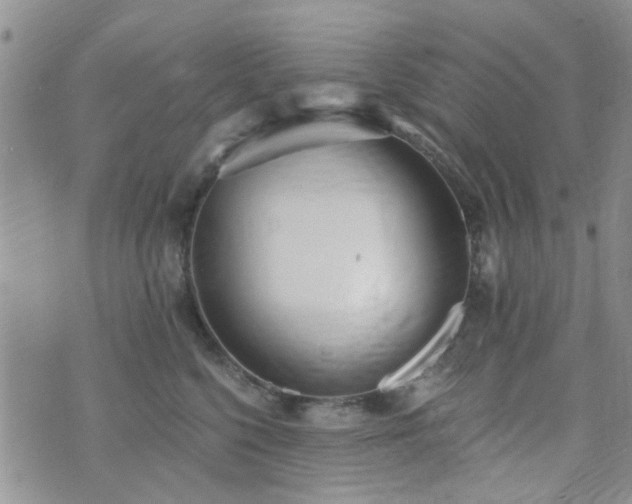 X0000073710568200608031242