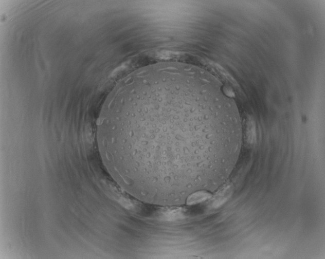 X0000073710569200608031242