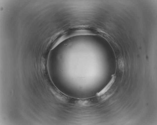 X0000073710570200608031242