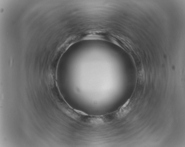 X0000073710572200608031242