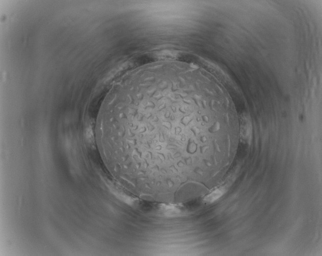 X0000073710573200608031242