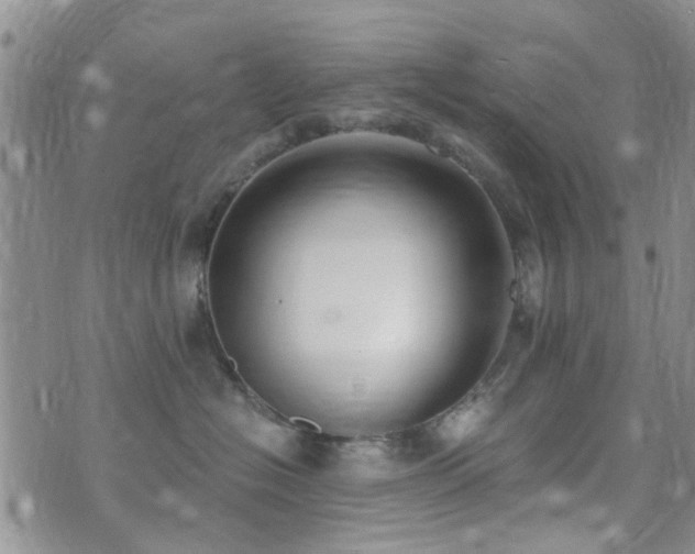 X0000073710574200608031242