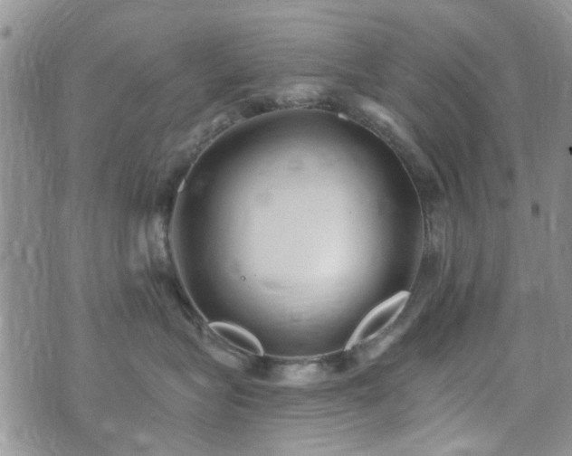 X0000073710575200608031242