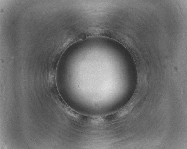 X0000073710576200608031242