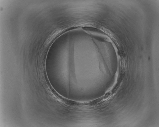 X0000073710577200608031242