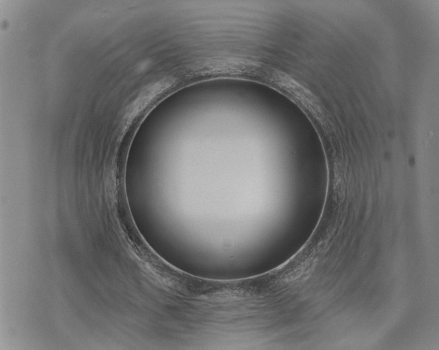 X0000073710578200608031242