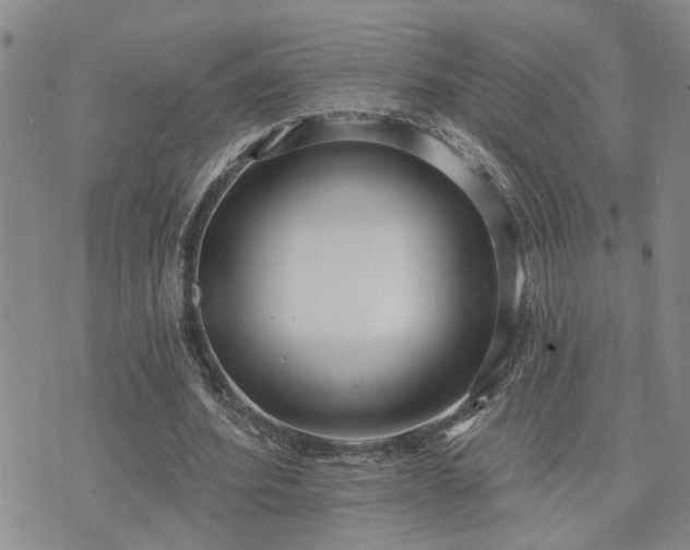 X0000073710580200608031242