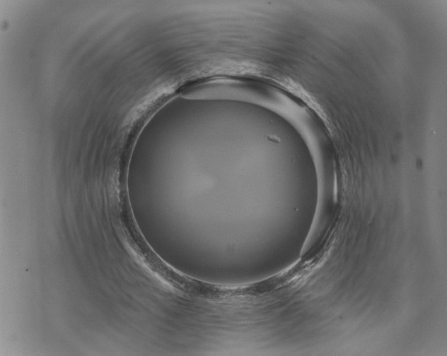 X0000073710581200608031242