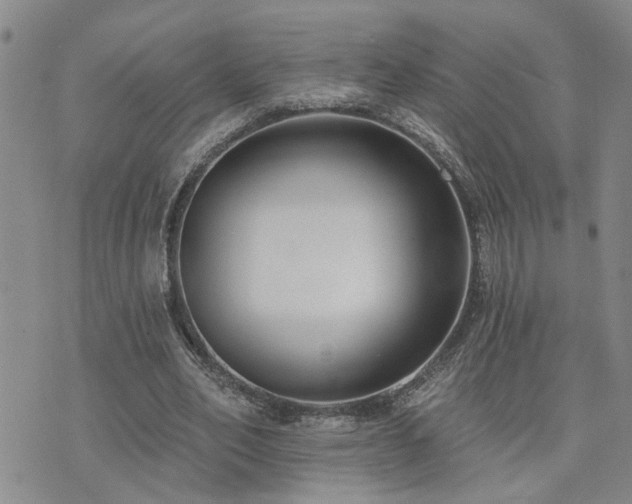 X0000073710582200608031242