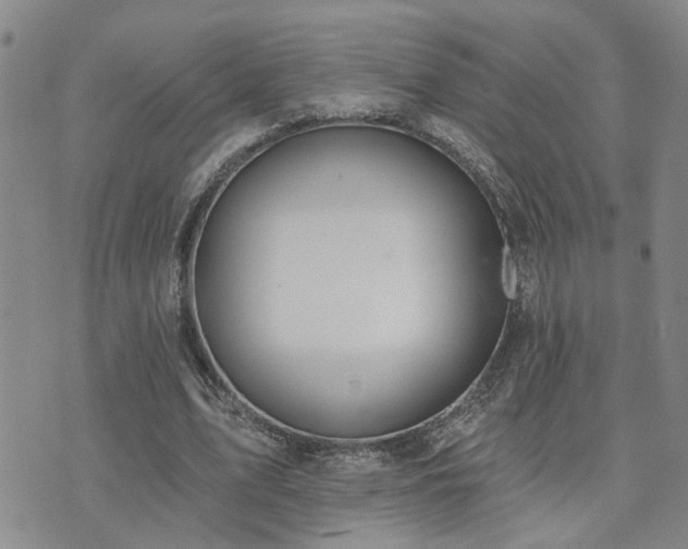 X0000073710583200608031242