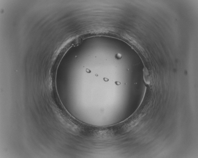 X0000073710584200608031242