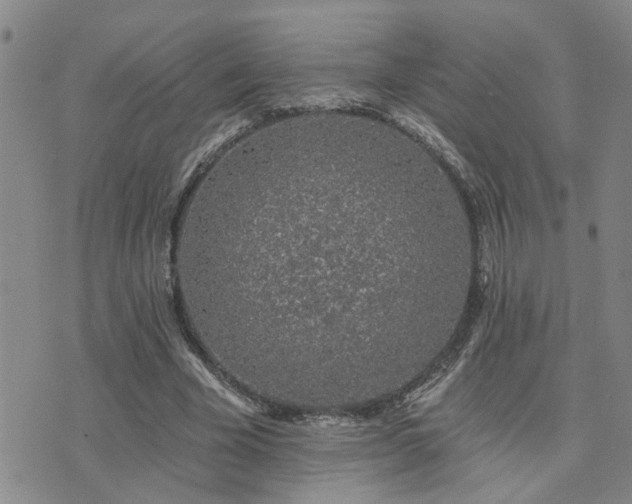 X0000073710585200608031242