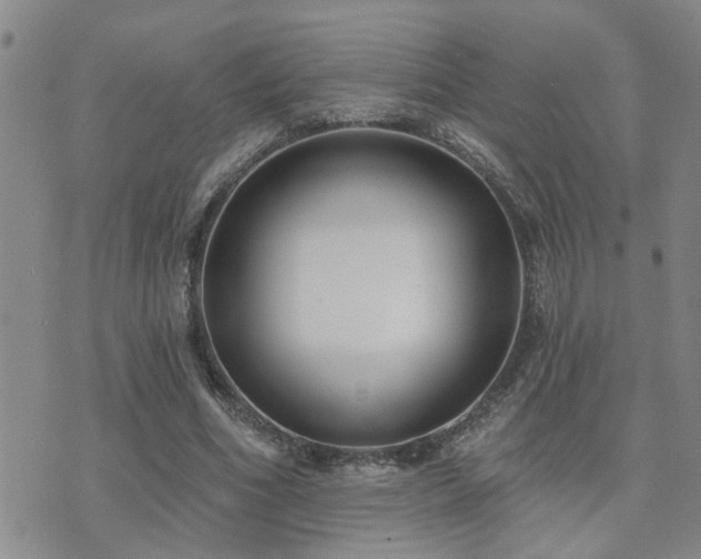 X0000073710586200608031242