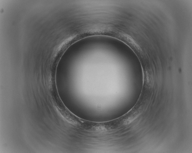 X0000073710588200608031241