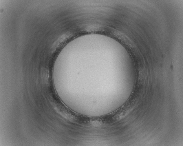 X0000073710592200608031241