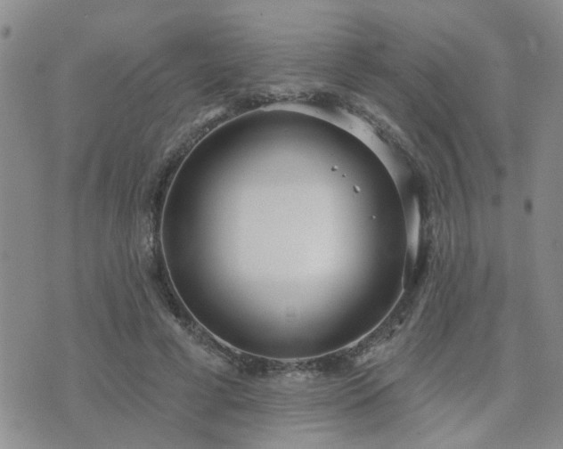 X0000073710593200608031241