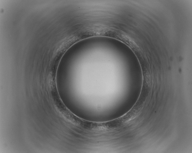 X0000073710594200608031241