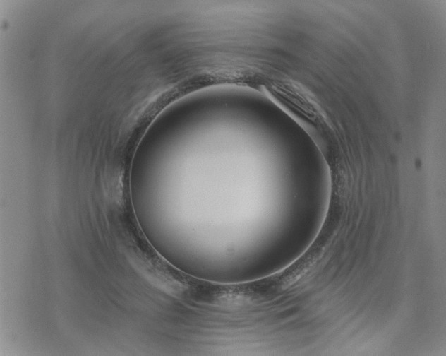 X0000073710596200608031241