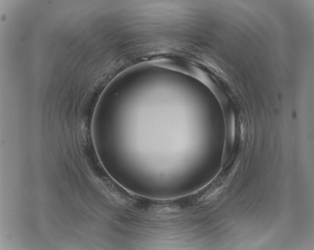 X0000073710597200608031241