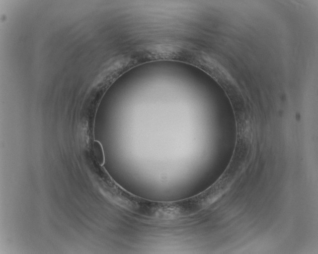 X0000073710599200608031241