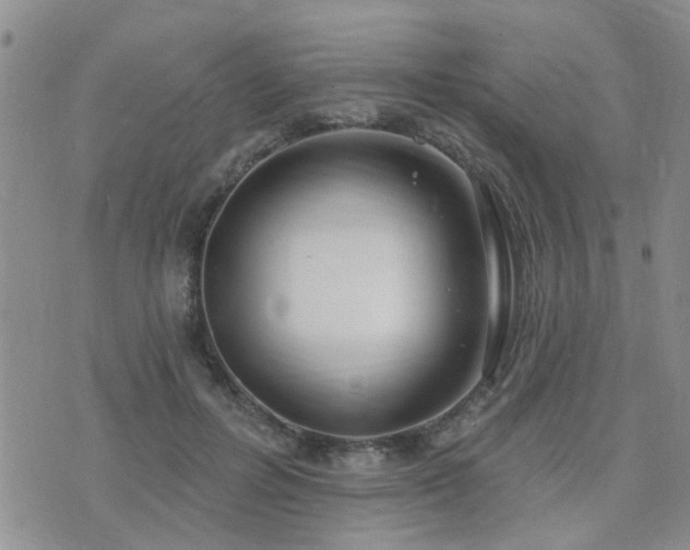 X0000073710600200608031241